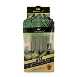 KING PALM XXL 5-15CT