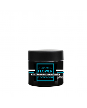 TRUSTED 1G SAT/IND SOUR DIESEL