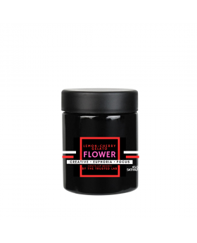 TRUSTED 7G SAT/IND LCG