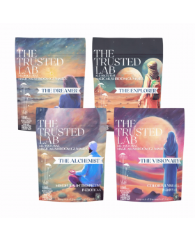 TRUSTED GUMMY 20KMG 4PK DREAM 15