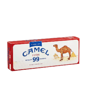 CAMEL CLASSIC FILTERS 99 BOX