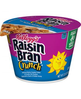 KELLOGGS RAISIN BRAN 6CT