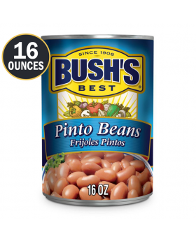 BUSH'S PINTO BEANS 16OZ