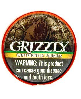 GRIZZLY POUCH WINTERGREEN 5CT