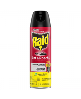 RAID ANT & ROACH LEMON 17.5OZ