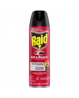 RAID ANT & ROACH OUTDOOR 17.5OZ