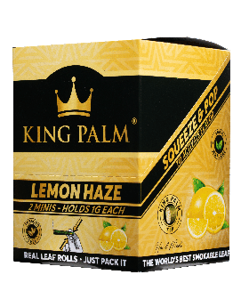 KING PALM MINI 2PK LEMON HAZ 20C