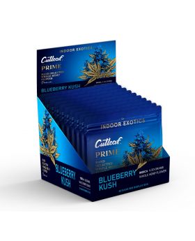 CUTLEAF FLOWER P 4.2G BLUE 10PK