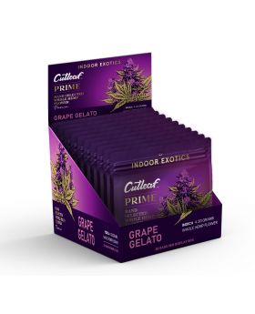 CUTLEAF FLOWER P 4.2G GRAPE 10PK