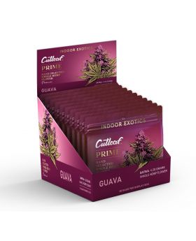CUTLEAF FLOWER P 4.2G GUAVA 10PK