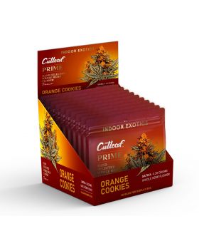 CUTLEAF FLOWER P 4.2G ORANGE 10P
