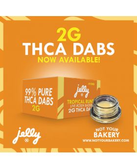 NYB DAB 2G TROPICAL RUNTZ 5CT