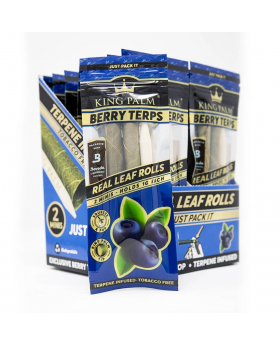 KING PALM MINI 2PK BERRY TER 20C