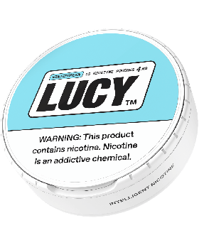 LUCY POUCHES 4MG WINTERGREEN 5CT