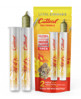 CUTLEAF ROLLS MIMOSA 10/2PK