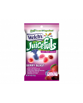 WELCH'S PEG JF BERRY BLAST 4OZ12