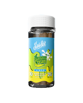 SORBET ROLLS DIA 2G HYB BANANA