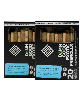 E & E'S DAMN ROLLS TROPIC 20CT