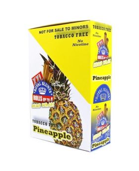 RB XXL HEMP WRAPS P/APPLE 24/2PK