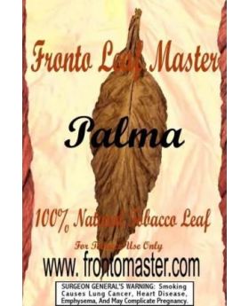 FRONTO MASTER WRAPS PALMA 20CT