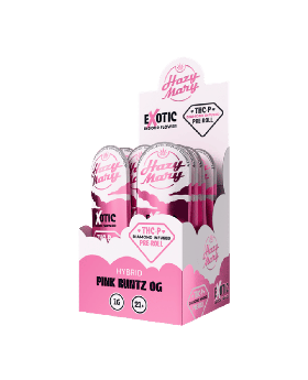HAZY MARY ROLLS P 1G PINK 40CT