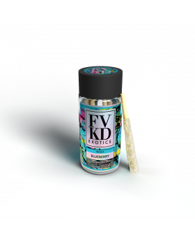 FVKD PREROLL BLUEBERRY 1CT