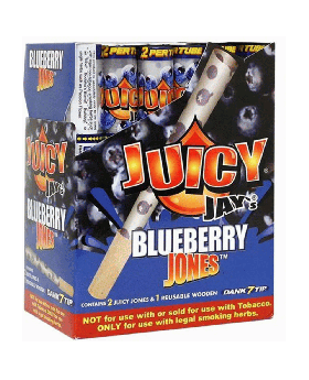 JUICY JAY'S CONE BLUEBERRY 24/2