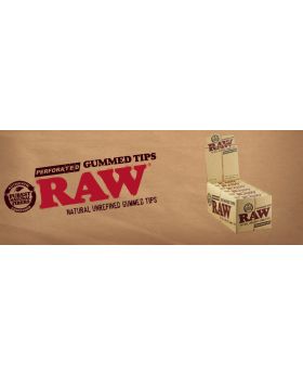 RAW TIPS GUMMED PERFORATED 24CT