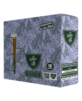 HIDDEN HILL POWDER 2G MIDNIG 10C