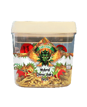 LUCILEAF FLOWER 1G PIE HOLE 28CT