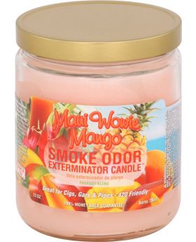 SMOKE ODOR CANDLE 13OZ MAUI WOW