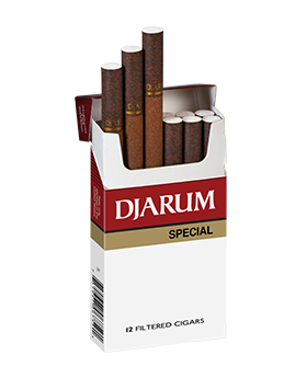 DJARUM CIGARS SPECIAL 10/12CT