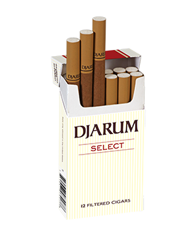 DJARUM CIGARS SELECT 10/12CT