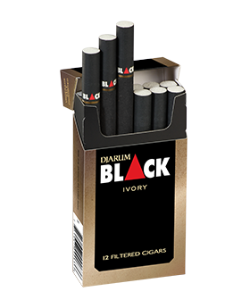 DJARUM CIGARS IVORY 10/12CT