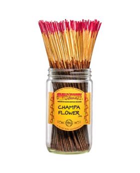 WILDBERRY STICKS CHAMPA FLOWER