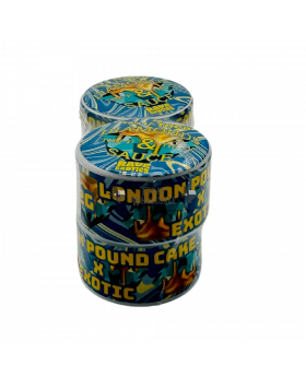 RAVE EXOTICS DIAMOND 2G LONDON 4