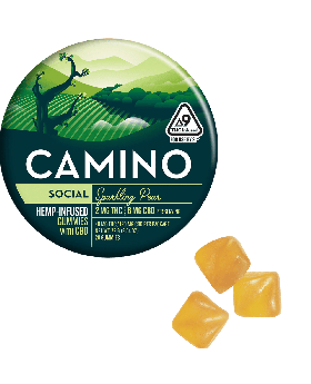 CAMINO GUMMY 100MG 20PK SOCIAL