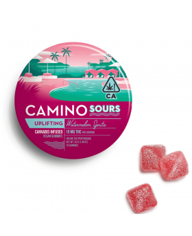 CAMINO GUMMY 100MG 10PK SOU UPLI