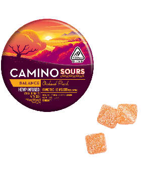 CAMINO GUMMY 100MG 10PK SOU BAL
