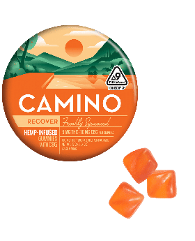 CAMINO GUMMY 100MG 20PK RECOVER
