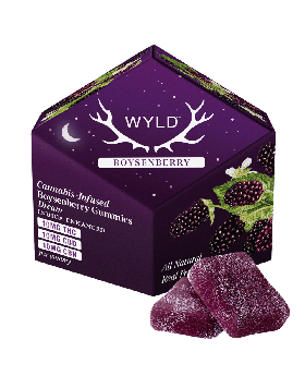 WYLD HEMP GUMMY 100MG BOYSEN 1CT