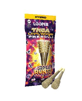 LOOPER PRE ROLLS RUNTZ 10CT