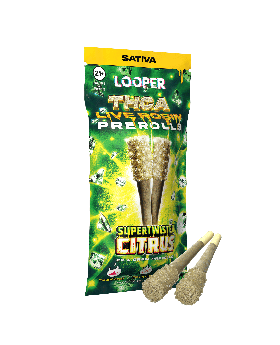 LOOPER PRE ROLLS CITRUS 10CT