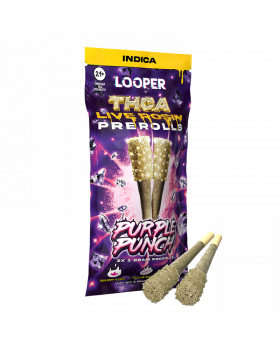 LOOPER PRE ROLLS PURPLE PUNCH 10