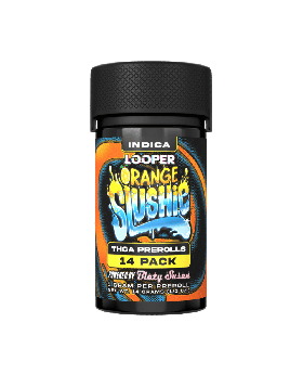 LOOPER ROLLS BLAZY ORANGE SULSHI