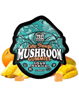 TRE HOUSE MUSHROOM SO TROPIC 10C