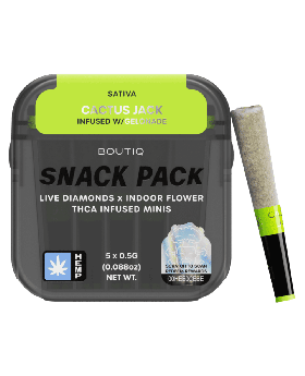 BOUTIQ MINIS ROLLS CACTUS 10CT