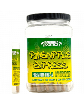 PARADIZE ROLLS 1.25GM PINE 25CT