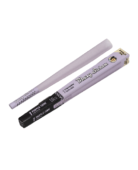 BLAZY SUSAN PURPLE EMPRESS 12CT