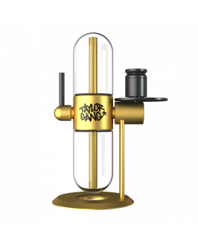 STUNDENGLASS X TAYLOR GANG